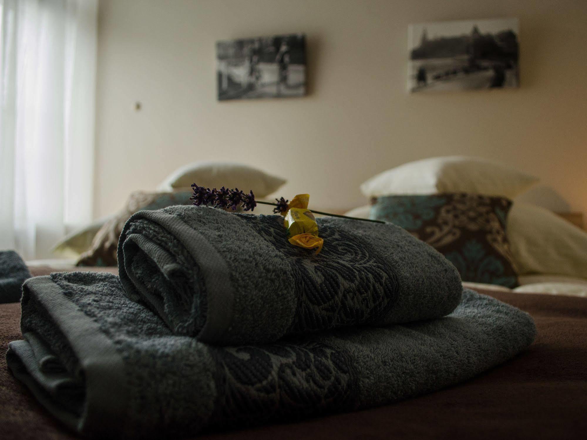 Royal Route 29 Comfort Rooms Cracovie Extérieur photo